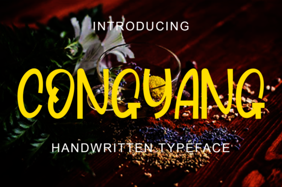 Congyang: A Whimsical Display Font for Editorial Charm