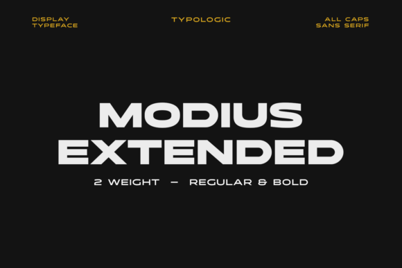 Modius Extended: A Designer’s Real-World Review