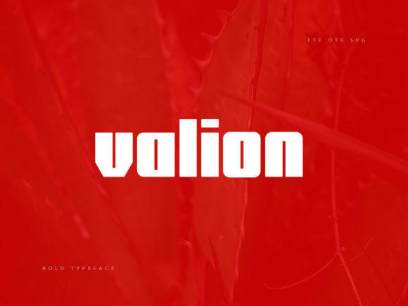 Valion Display Font for Handmade Creators